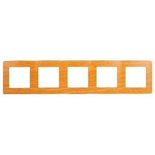 Фото Рамка на 5 постов Эра Эра 12 12-5005-07 ER_B0014787 - интернет-магазин МегаТерем в Москве