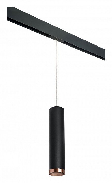 Фото Подвесной светильник Lightstar Rullo PRORP497430 LS_PRORP497430 - интернет-магазин МегаТерем в Москве