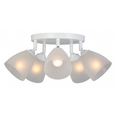 Потолочная люстра Vitaluce V4355 V4355-0/5PL VI_V4355-0_5PL