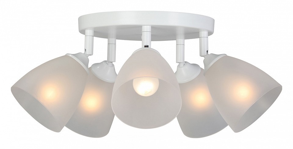 Фото Потолочная люстра Vitaluce V4355 V4355-0/5PL VI_V4355-0_5PL - интернет-магазин МегаТерем в Москве