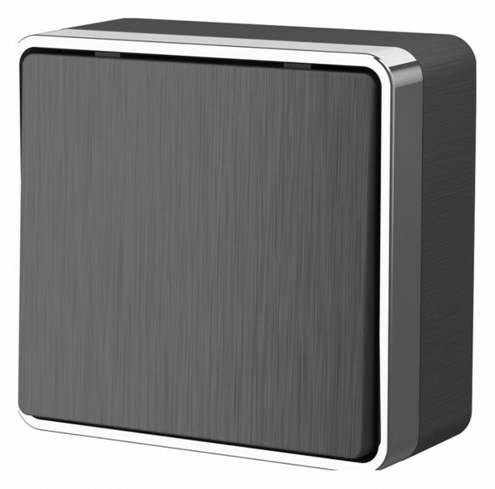 Фото Выключатель одноклавишный Werkel Gallant (графит рифленый) W5010004 WRK_a051341 - интернет-магазин МегаТерем в Москве