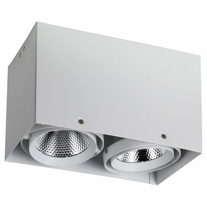 Фото Накладной светильник Favourite Flashled 1986-2U FV_1986-2U - интернет-магазин МегаТерем в Москве