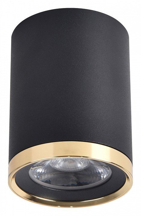 Фото Накладной светильник Favourite Prakash 3086-1C FV_3086-1C - интернет-магазин МегаТерем в Москве