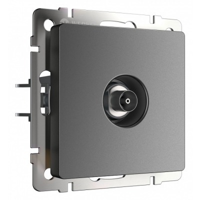 ТВ-розетка без рамки Werkel...