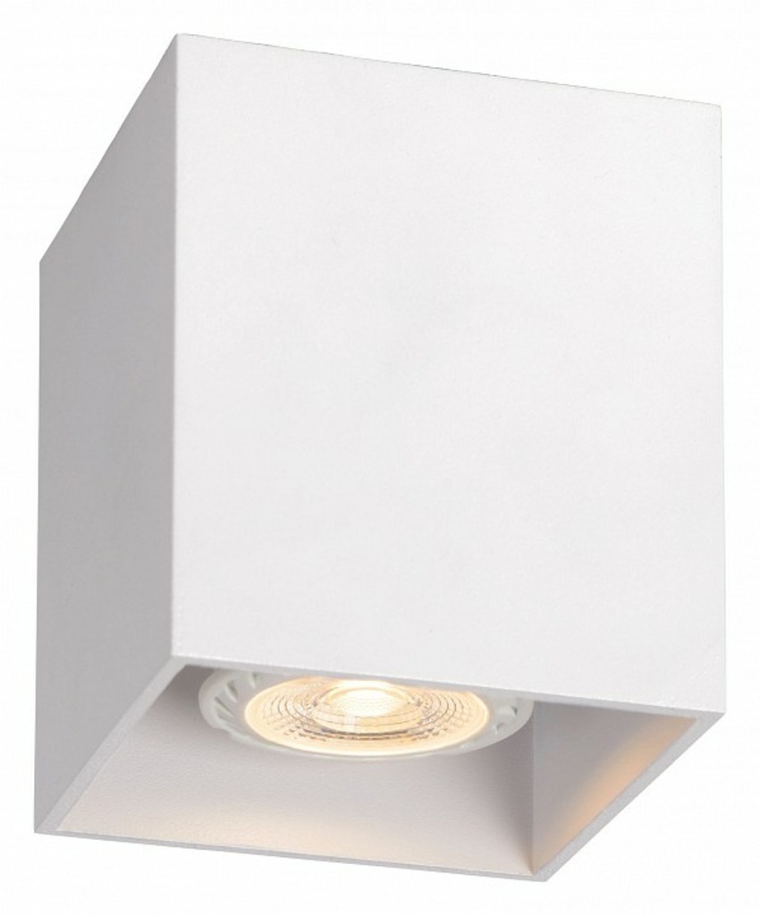 Фото Накладной светильник Lucide Bodi 09101/01/31 LCD_09101_01_31 - интернет-магазин МегаТерем в Москве