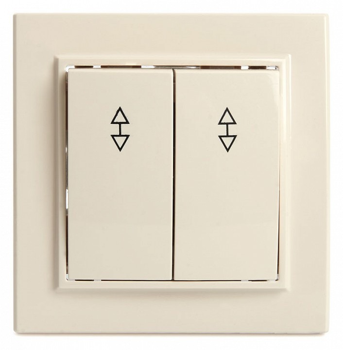 Фото Выключатель двухклавишный Stekker Эрна 39920 FE_39920 - интернет-магазин МегаТерем в Москве