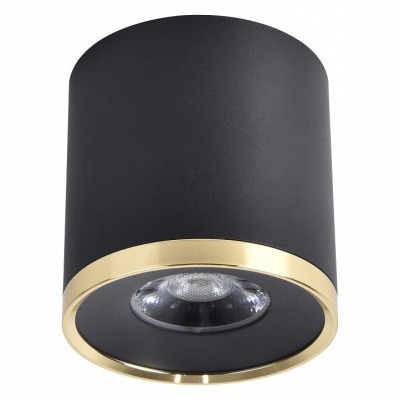 Накладной светильник Favourite Prakash 3086-2C FV_3086-2C