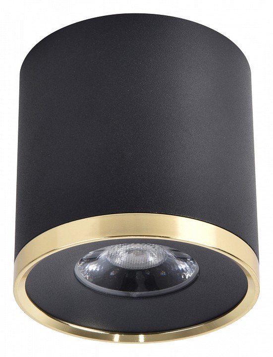 Фото Накладной светильник Favourite Prakash 3086-2C FV_3086-2C - интернет-магазин МегаТерем в Москве