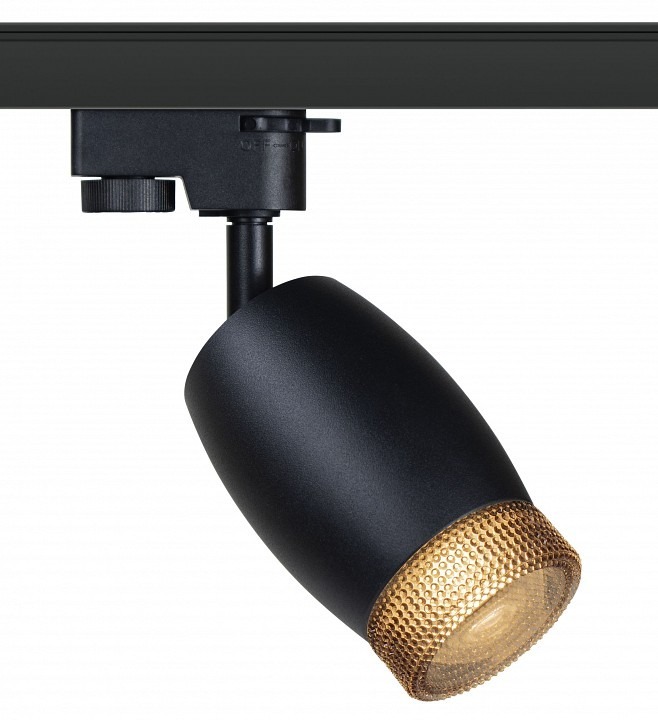Фото Светильник на штанге Эра  TR51 - GU10 BK ER_B0054164 - интернет-магазин МегаТерем в Москве