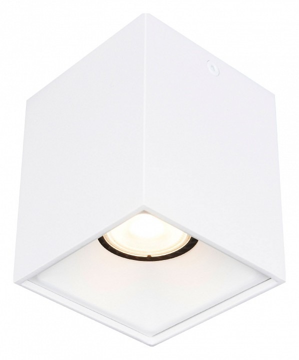 Фото Накладной светильник ST-Luce ST168 ST168.502.01 - интернет-магазин МегаТерем в Москве