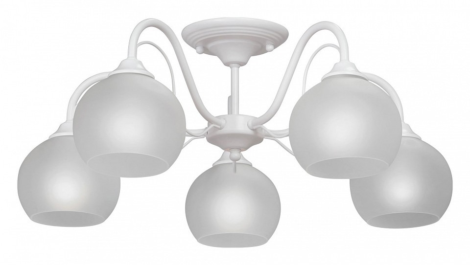 Фото Люстра на штанге Vitaluce 3948 V3948-0/5PL VI_V3948-0_5PL - интернет-магазин МегаТерем в Москве