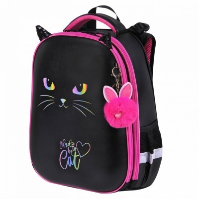 Ранец BRAUBERG SHINY 2 отде...