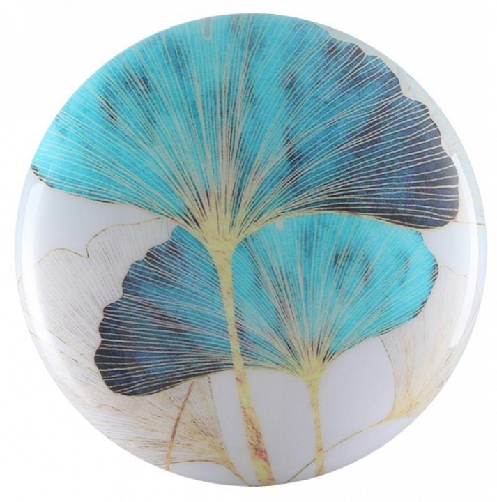 Фото Накладной светильник Sonex Floren 7747/CL SN_7747_CL - интернет-магазин МегаТерем в Москве