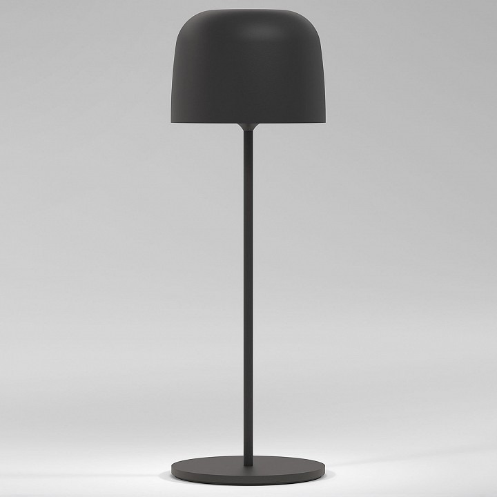 Фото Настольная лампа декоративная Elektrostandard Bitty a069002 ELK_a069002 - интернет-магазин МегаТерем в Москве