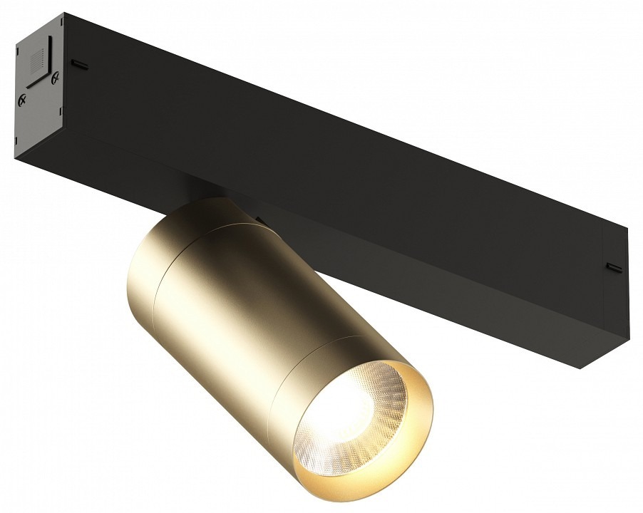 Фото Светильник на штанге Denkirs Smart DK8010-BG DK_DK8010-BG - интернет-магазин МегаТерем в Москве