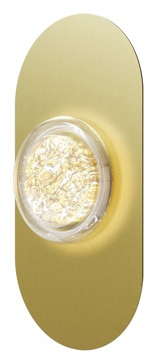 Фото Накладной светильник Maytoni Pharao MOD361WL-L20BS3K MY_MOD361WL-L20BS3K - интернет-магазин МегаТерем в Москве