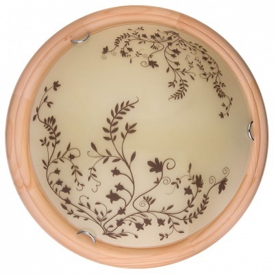 Накладной светильник TopLig...