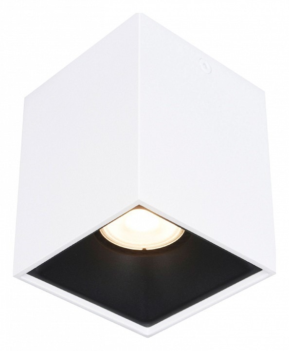 Фото Накладной светильник ST-Luce ST168 ST168.542.01 - интернет-магазин МегаТерем в Москве