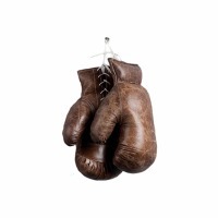 Перчатки для бокса T-SPO-OD-0019-Z, натуральная кожа, Brown, RESTORATION HARDWARE