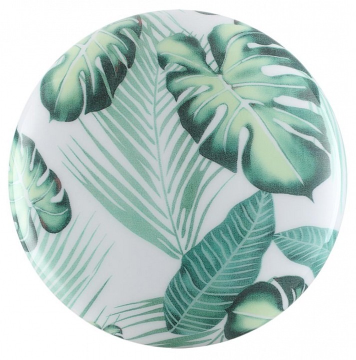 Фото Накладной светильник Sonex Flori 7748/CL SN_7748_CL - интернет-магазин МегаТерем в Москве