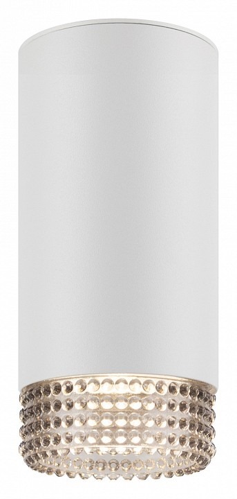 Фото Накладной светильник Эра OL40 WH/GR Б0058478 ER_B0058478 - интернет-магазин МегаТерем в Москве