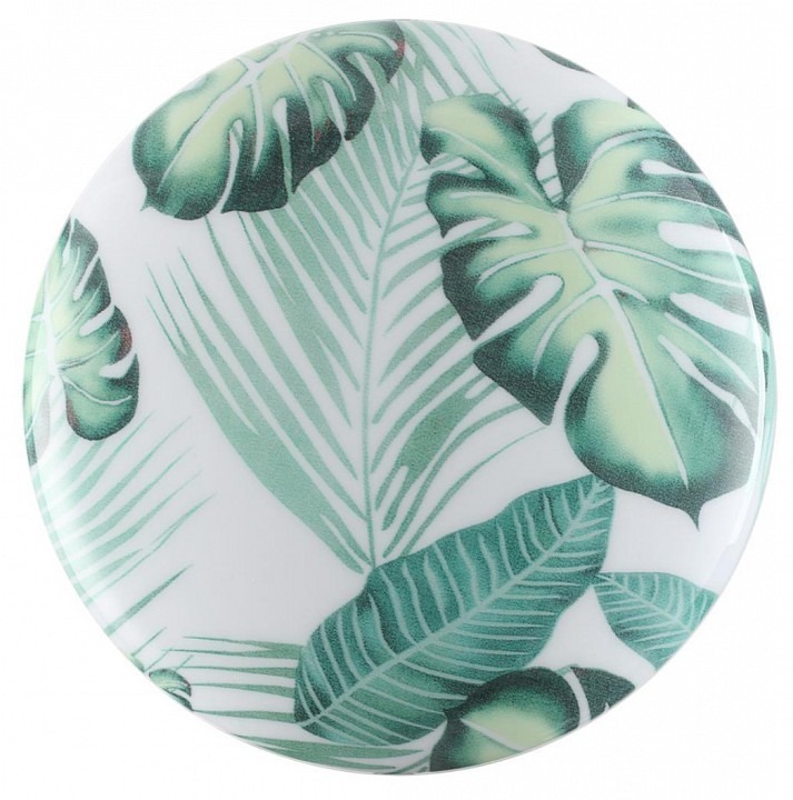 Фото Накладной светильник Sonex Flori 7748/DL SN_7748_DL - интернет-магазин МегаТерем в Москве