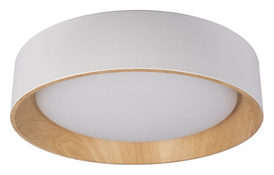 Фото Накладной светильник Loft it Coin 10202 White LF_10202_White - интернет-магазин МегаТерем в Москве