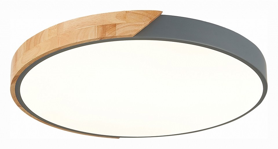 Фото Накладной светильник EVOLUCE Festa SLE200972-01 EVO_SLE200972-01 - интернет-магазин МегаТерем в Москве