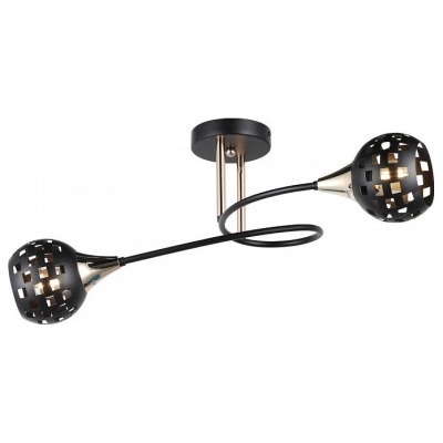 Светильник на штанге Imex MD.19074 MD.19074-2-S-BK+FGD IMX_MD.19074-2-S-BK_FGD