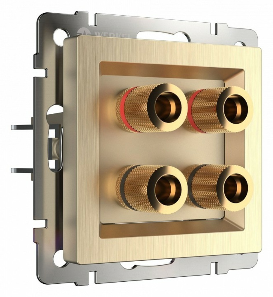 Фото Розетка акустическая без рамки Werkel шампань рифленый W1185010 WRK_a051421 - интернет-магазин МегаТерем в Москве