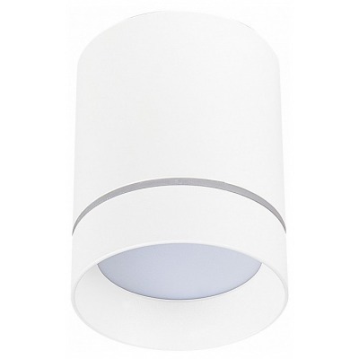 Накладной светильник ST-Luce ST115 ST115.532.12