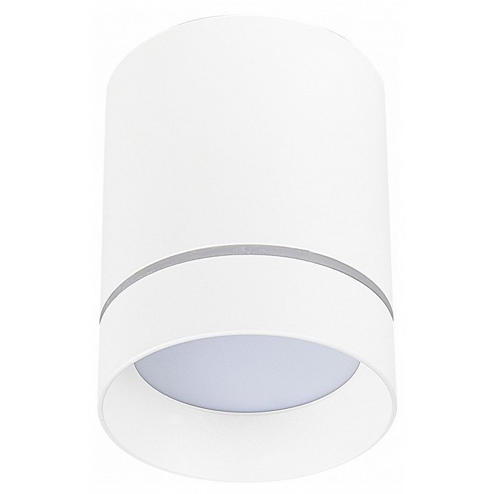 Фото Накладной светильник ST-Luce ST115 ST115.532.12 - интернет-магазин МегаТерем в Москве