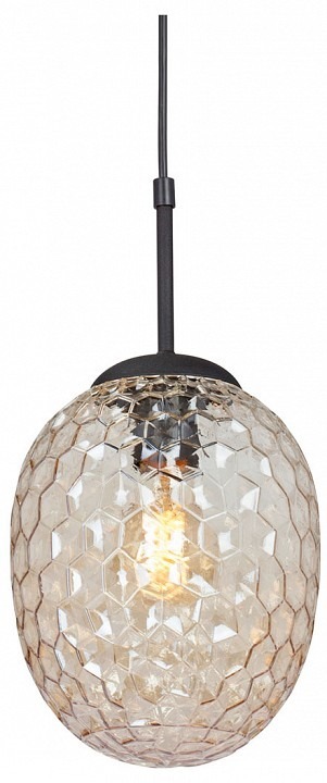 Фото Подвесной светильник Vitaluce V2968 V2968-1/1S VI_V2968-1_1S - интернет-магазин МегаТерем в Москве