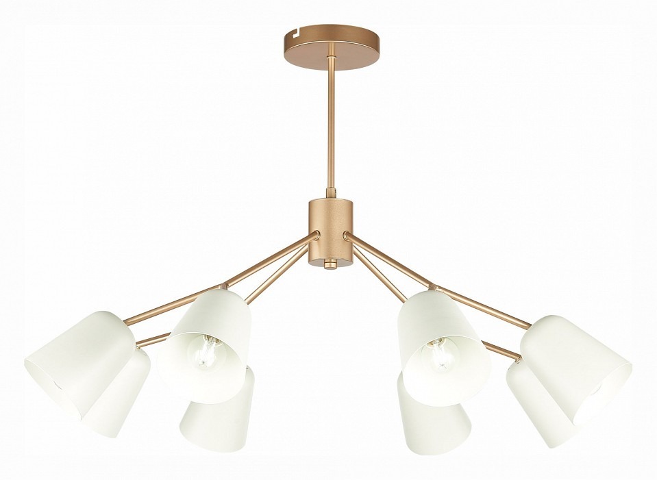 Фото Люстра на штанге EVOLUCE Mario SLE155902-08 EVO_SLE155902-08 - интернет-магазин МегаТерем в Москве