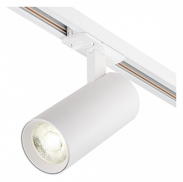 Фото Светильник на штанге Escada 20002 20002TRA/03LED SWH ESC_20002TRA_03LED_SWH - интернет-магазин МегаТерем в Москве