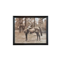 Картина Мальчик на лошади TO-AIPOT392BOHRFTZ, дерево, стекло, mixed, ROOMERS FURNITURE