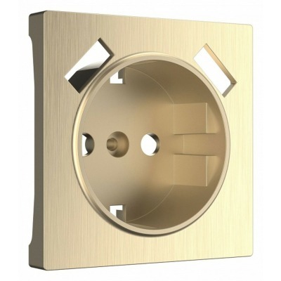 Накладка для розетки с заземлением и 2хUSB Werkel шампань рифленый W1179510 WRK_a051422