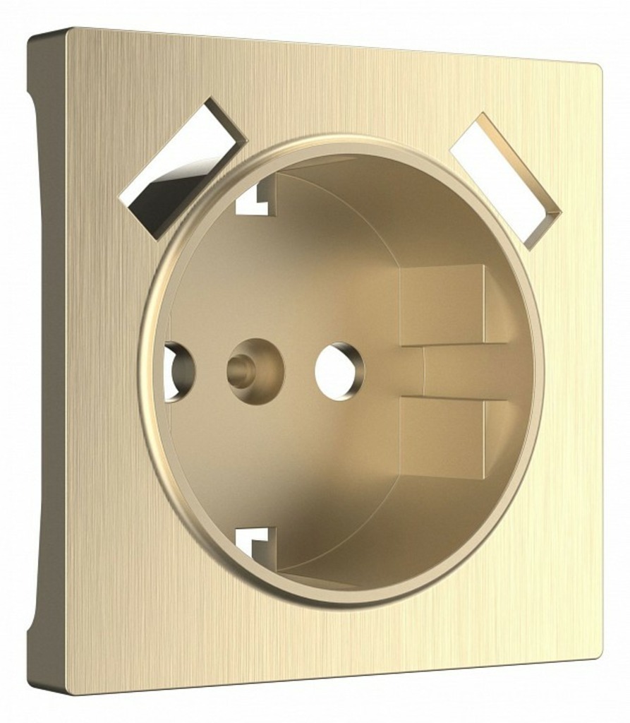 Фото Накладка для розетки с заземлением и 2хUSB Werkel шампань рифленый W1179510 WRK_a051422 - интернет-магазин МегаТерем в Москве