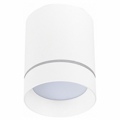 Накладной светильник ST-Luce ST115 ST115.542.12