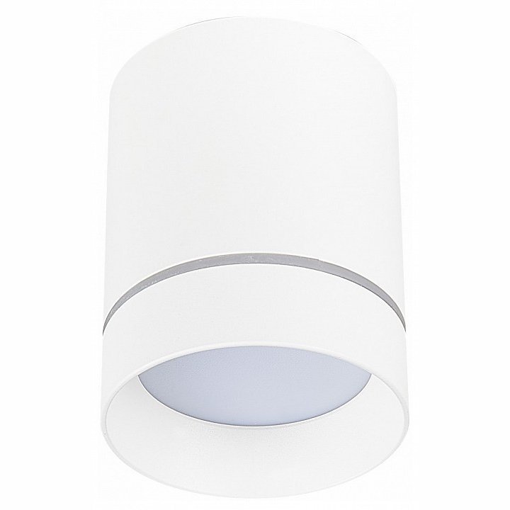 Фото Накладной светильник ST-Luce ST115 ST115.542.12 - интернет-магазин МегаТерем в Москве