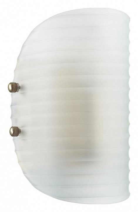 Фото Накладной светильник Lumion Fioro 6571/1W LMN_6571_1W - интернет-магазин МегаТерем в Москве