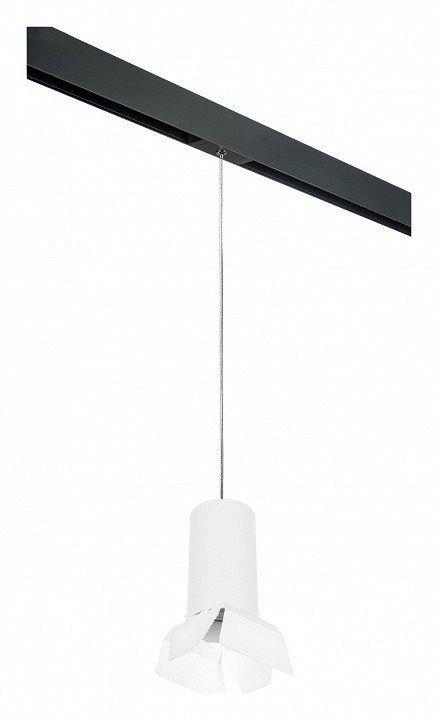 Фото Подвесной светильник Lightstar Rullo PRORP6486486 LS_PRORP6486486 - интернет-магазин МегаТерем в Москве