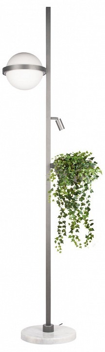Фото Торшер Loft it Jardin 10121/F Dark grey LF_10121_F_Dark_grey - интернет-магазин МегаТерем в Москве