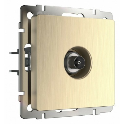 ТВ-розетка без рамки Werkel шампань рифленый W1183010 WRK_a051427