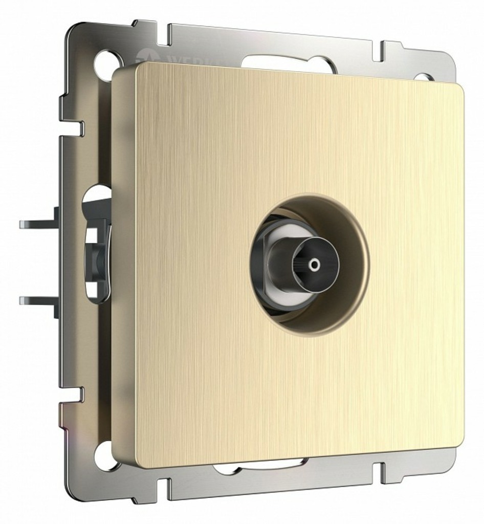 Фото ТВ-розетка без рамки Werkel шампань рифленый W1183010 WRK_a051427 - интернет-магазин МегаТерем в Москве