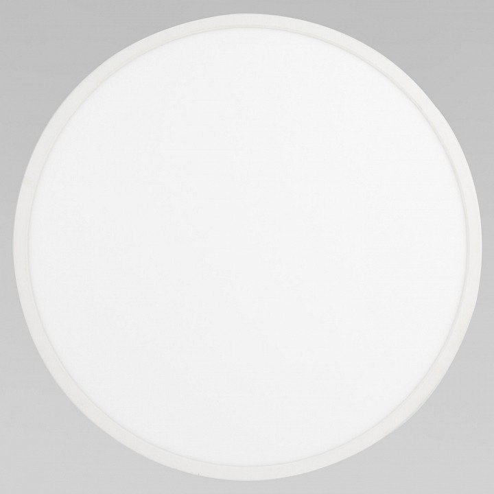 Фото Накладной светильник TK Lighting Aqua 18797 Aqua CCT+DIM IP54 EV_a068413 - интернет-магазин МегаТерем в Москве