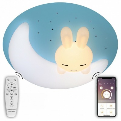 Накладной светильник Natali...