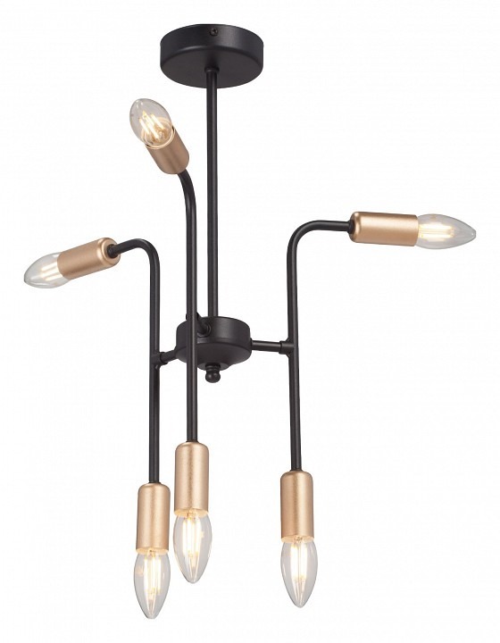 Фото Люстра на штанге Vitaluce V3022 V3022-1/6PL VI_V3022-1_6PL - интернет-магазин МегаТерем в Москве