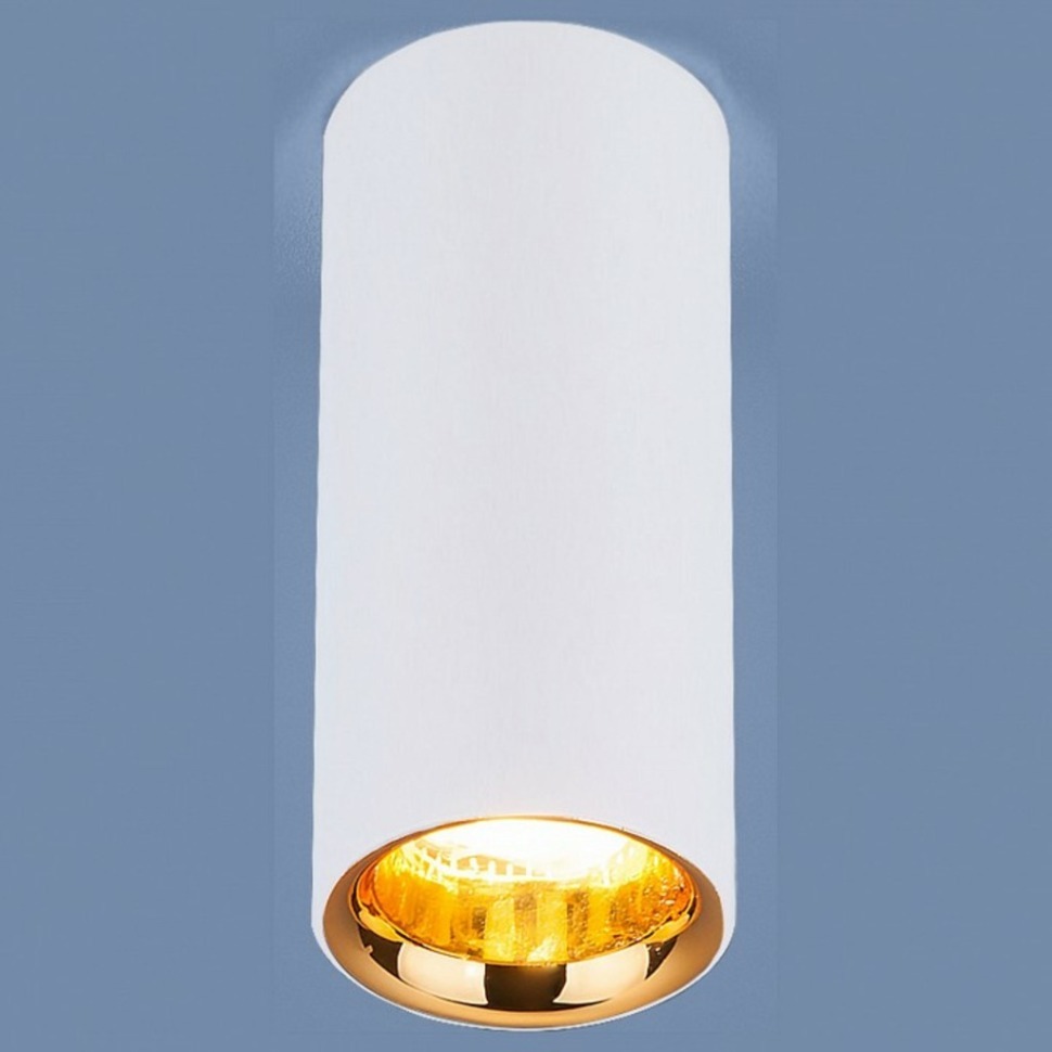 Фото Накладной светильник Elektrostandard DLR030 a040669 ELK_a040669 - интернет-магазин МегаТерем в Москве