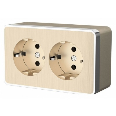 Розетка двойная с заземлением Werkel Gallant (шампань рифленый) W5072110 WRK_a051037